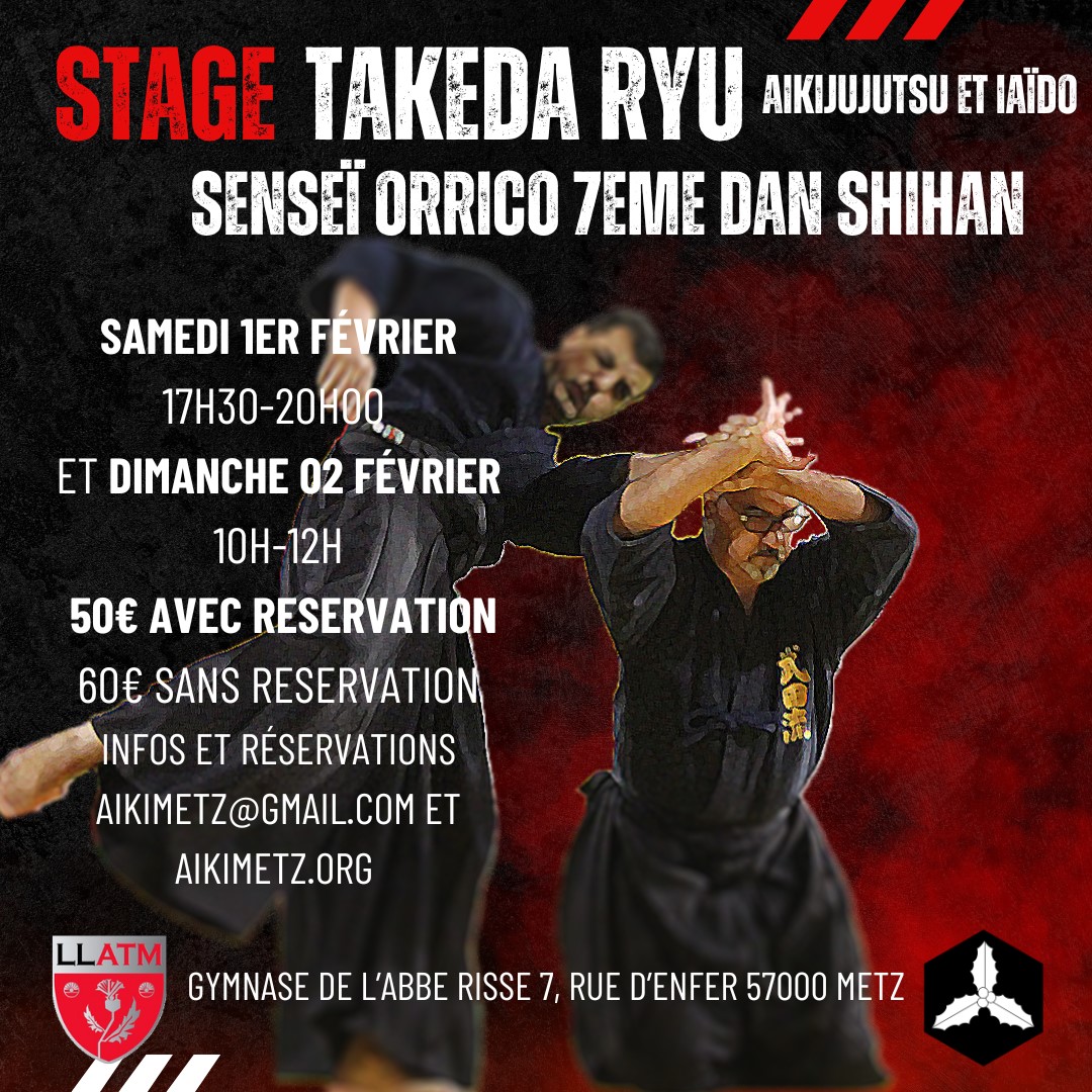 stage aiki metz sensei Orrico